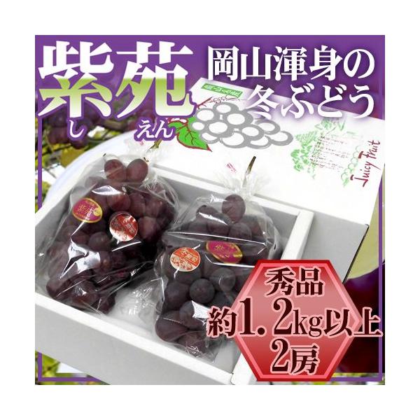 Ԃǂ RY hԂǂh Gi [ 2[ 1.2kgȏ ϔy\ 10{ȍ~z 