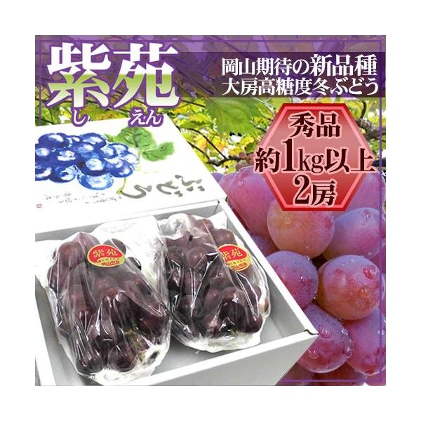 Ԃǂ RY hԂǂh Gi 2[ 1kgȏ ϔy\ 10{ȍ~z 