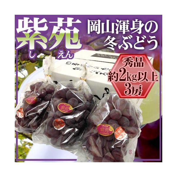 Ԃǂ RY hԂǂh Gi [ 3[ 2kgȏy\ 10{ȍ~z 