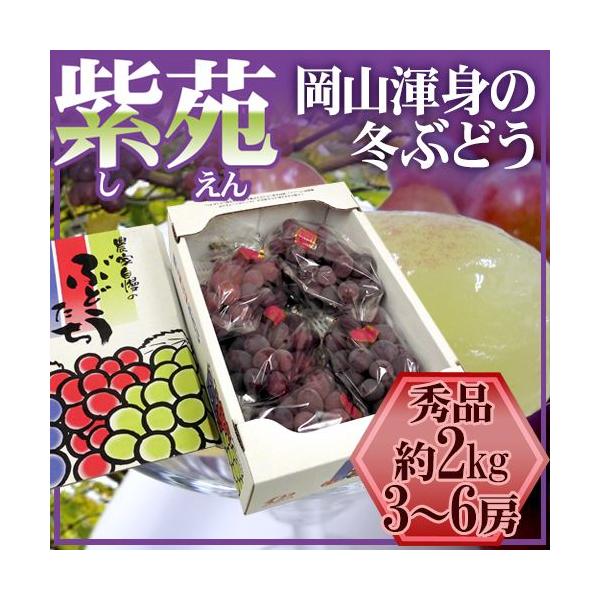 RY hԂǂh Gi 3`6[ 2kg Ynϔy\ 10{ȍ~z 