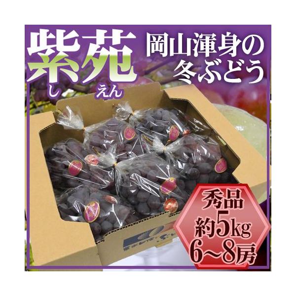 Ԃǂ RY hԂǂh Gi [ 6`8[ 5kgy\ 10{ȍ~z 