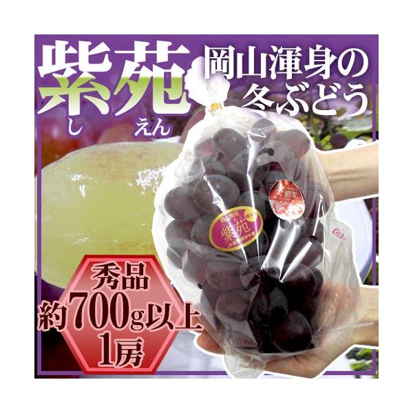 Ԃǂ hRY Ԃǂh Gi [ 1[ 700gȏy\ 10{ȍ~z