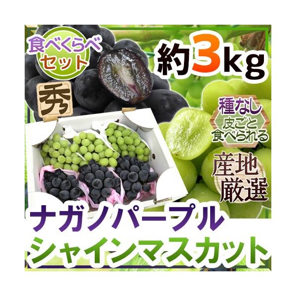 ぶどう シャインマスカット ナガノパープル 食べ比べ - 通販