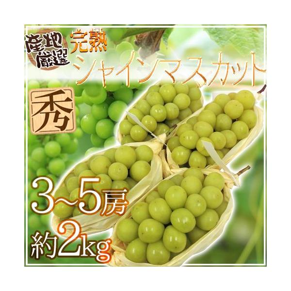 hnVC}XJbgh Gi 3`5[ 2kg YnIy\ 8ȍ~z 