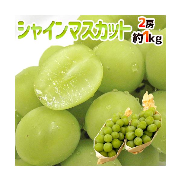 [Release date: August 25, 2025]【送料無料】大注目の新品種「シャインマスカット」！皮ごと、まるごと食べられて種もない♪驚くほどの甘さとマスカットの芳醇な香りは一口食べたらヤミツキに！/フルーツ/果物/1キロ/爆買