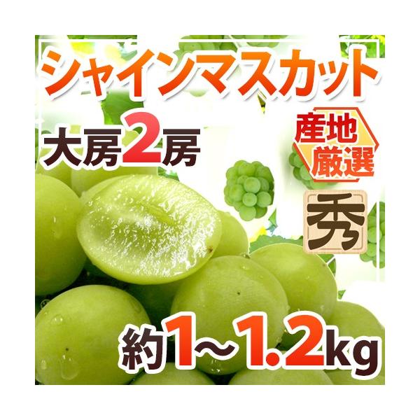 シャインマスカット” 秀品 大房限定 2房 約1〜1.2kg 産地厳選[M2]【予約 9月中旬以降】 送料無料  :2020048-shine1kgm2:くらし快援隊 - 通販 - Yahoo!ショッピング