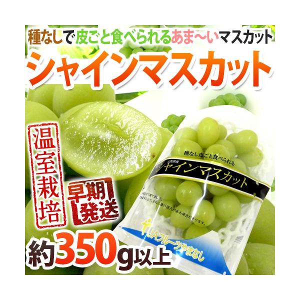 Iv~A hVC}XJbgh Gi 1[ 350gȏ pbN YnIy\ 5ȍ~z