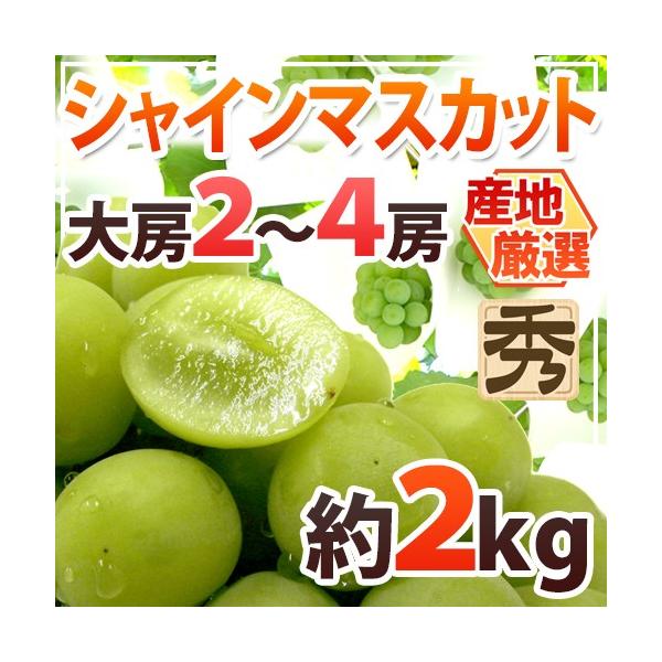 hVC}XJbgh Gi [ 2`4[ 2kg YnI[B2]y\ 8{ȍ~z