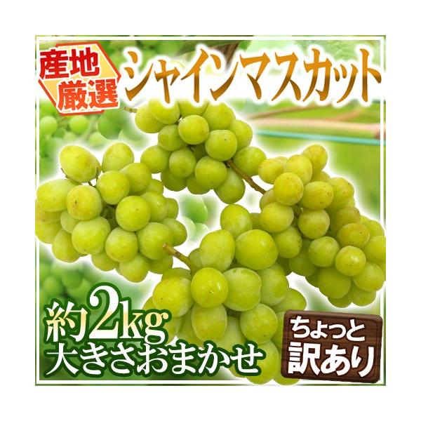 hVC}XJbgh Ɩ󂠂 2kgȏ 傫܂ YnIy\ 8ȍ~z