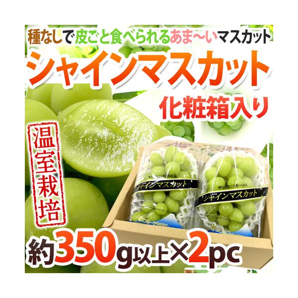 hVC}XJbgh Gi 350gȏ×s2pct ϔ YnIyE\ 7ȍ~z 