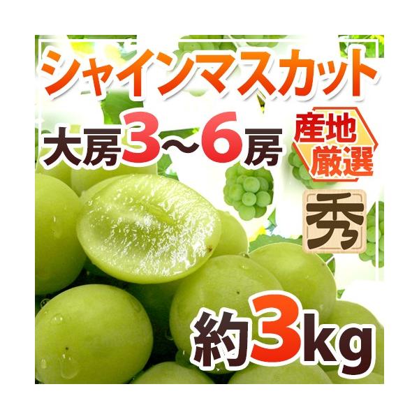 kurashi-kaientai_2020048-