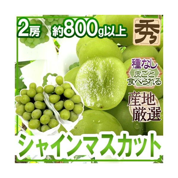 シャインマスカット” 秀品 2房 約800g以上 産地厳選【予約 8月