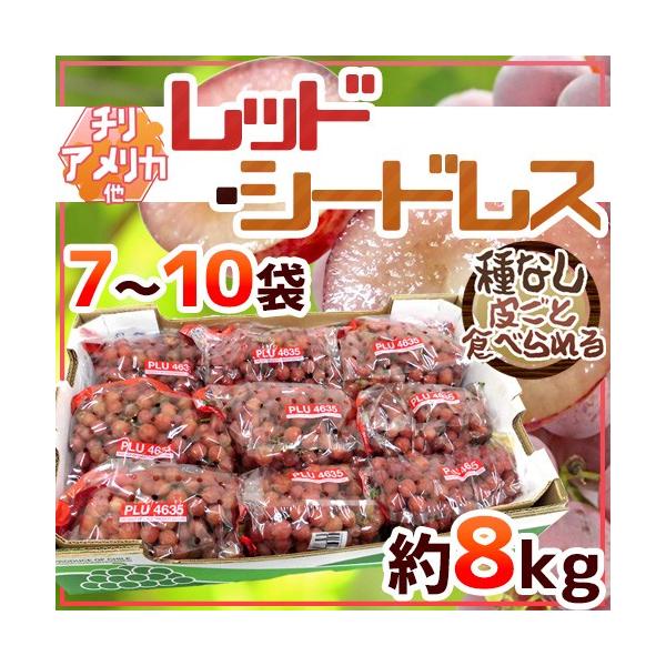 Ԃǂ ȂԂǂ hbhV[hXh 7`10 8kg Ɩ󂠂 `EAJY ԂԂǂy\ ׎攭z 