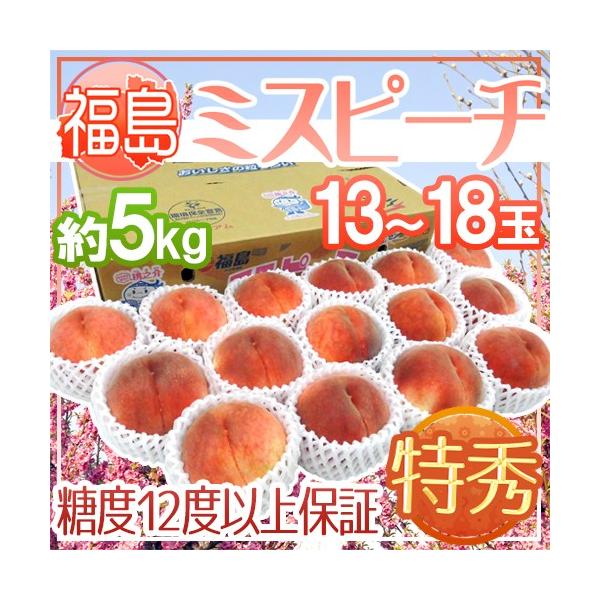 和歌山の桃　13〜15玉　約5kg　秀品　クール便発送 送料無料 秀品 和歌山県産 白桃 桃 白鳳等 約 2kg 6〜12玉 ご