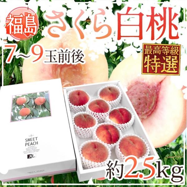 福島県産 さくら白桃” 特選品 7〜9玉前後 約2.5kg 化粧箱 糖度15