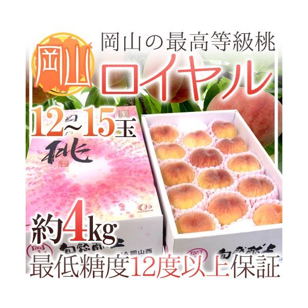 ���R�� �ō������� �h���C�����h ���12�`15�ʓ��� ��4kg�y�\�� 7���ȍ~�z ��������