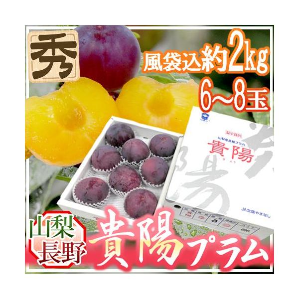 �R���E����Y �h�M�z�v�����h ����6�`8�� ��2kg�i���܍��j ���ϔ��y�\�� 7���ȍ~�z ��������