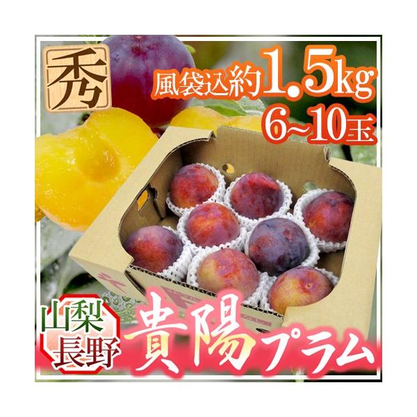 �R���E���쌧 �h�M�z�v�����h �G�i ���6�`10�� ��1.5kg�y�\�� 7���ȍ~�z ��������