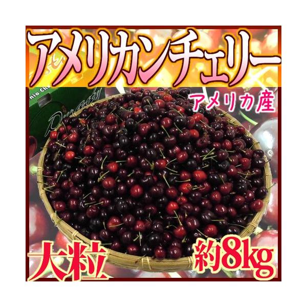 アメリカ産 ”アメリカンチェリー” 大粒 約8kg【予約 5月下旬以降】 送料無料