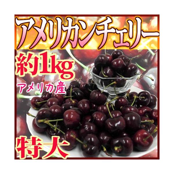 アメリカ産 ”アメリカンチェリー” 特大 約1kg【予約 5月下旬以降】 送料無料