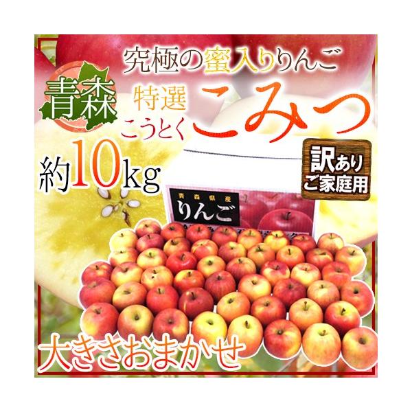  X 炯 h݂h 󂠂 傫܂ 10kg Ƃ񂲁y\ 12ȍ~z 