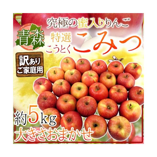  hX 炯 ݂h 󂠂 傫܂ 5kg Ƃ񂲁y\ 12ȍ~z 