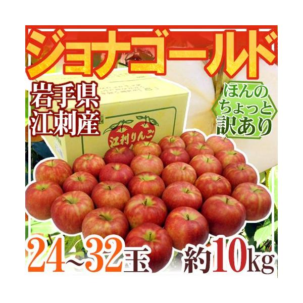 茧]hY hWiS[hh 24`32 10kg ق̂Ɩ󂠂y\ 10{ȍ~z 