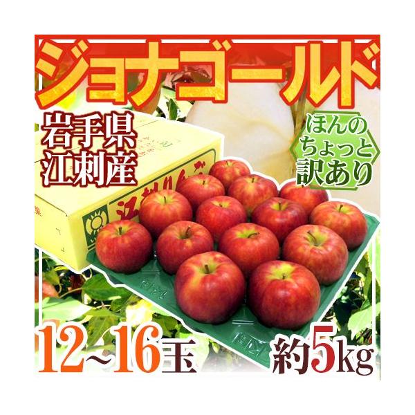  茧]hY hWiS[hh 12`16 5kg ق̂Ɩ󂠂y\ 10{ȍ~z 