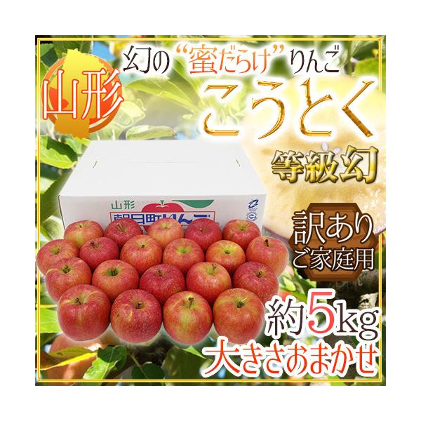  炯 hR`Y Ƃij񂲁h  󂠂 5kg 傫܂y\ 11ȍ~z 