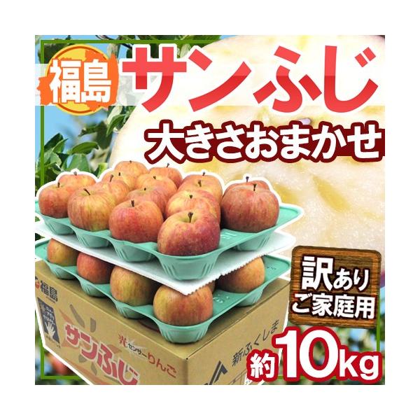  Y hTӂh 󂠂 傫܂ 10kgy\ 11{ȍ~z 