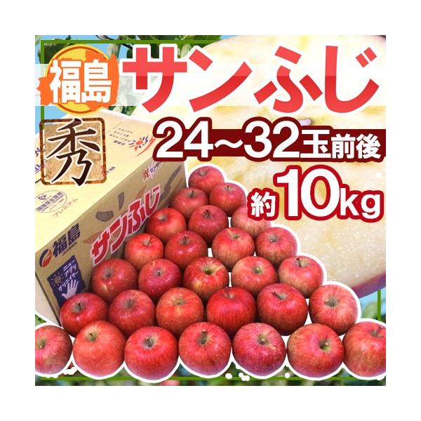  Y hTӂh Gi 24`32 10kgy\ 11{ȍ~z 