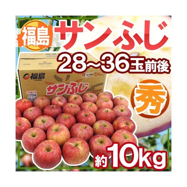  Y hTӂ񂲁h Gi 28`36ʑO 10kgy\ 11{ȍ~z 