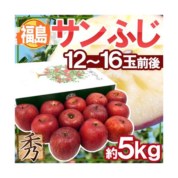  hY Tӂh Gi 12`16 5kg ϔy\ 11{ȍ~z 