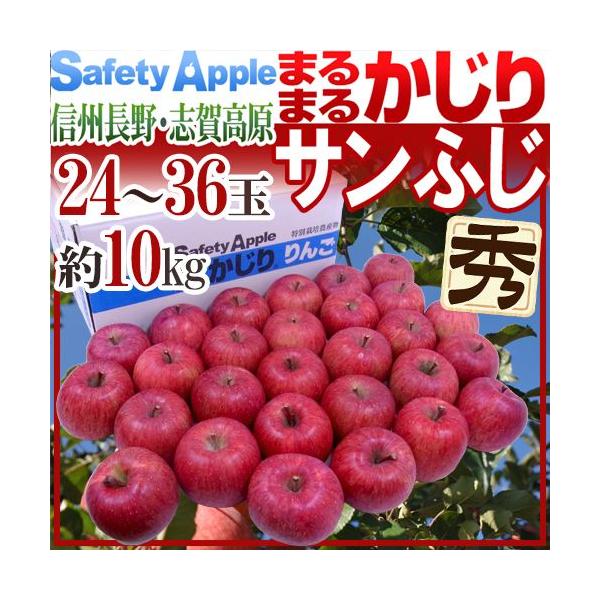  Y h܂܂邩Tӂh Gi 24`36 10kgy\ 11ȍ~z 