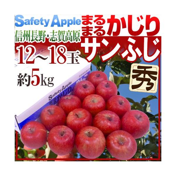  hY ܂܂邩Tӂh Gi 12`18 5kg Yny\ 11ȍ~z 