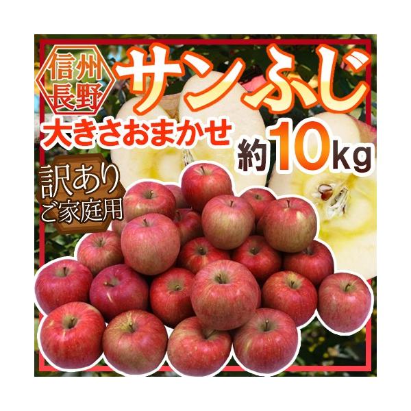  Y hTӂh 10kg 󂠂 傫܂y\ 11{ȍ~z 