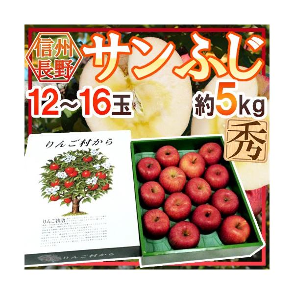  hY Tӂh Gi 12`16 5kg ϔy\ 11{ȍ~z 