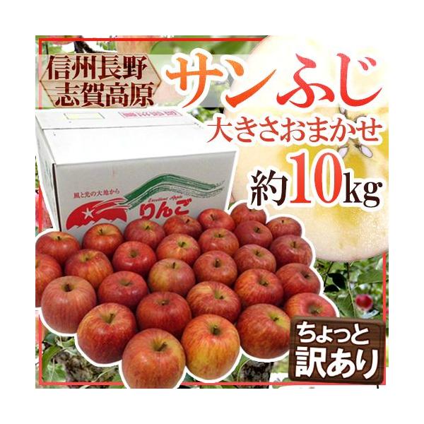  쌧 uꍂY hTӂh 󂠂 10kg 傫܂y\ 11{ȍ~z 