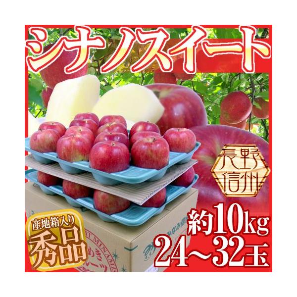  Y hVimXC[gh Gi 24`32 10kg 񂲁y\ 10{ȍ~z 