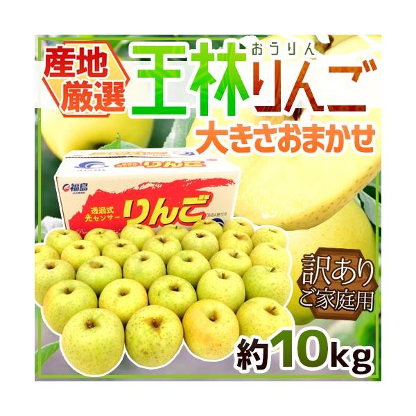  hт񂲁h 󂠂 10kg 傫܂ YnIy\ 10{ȍ~z 