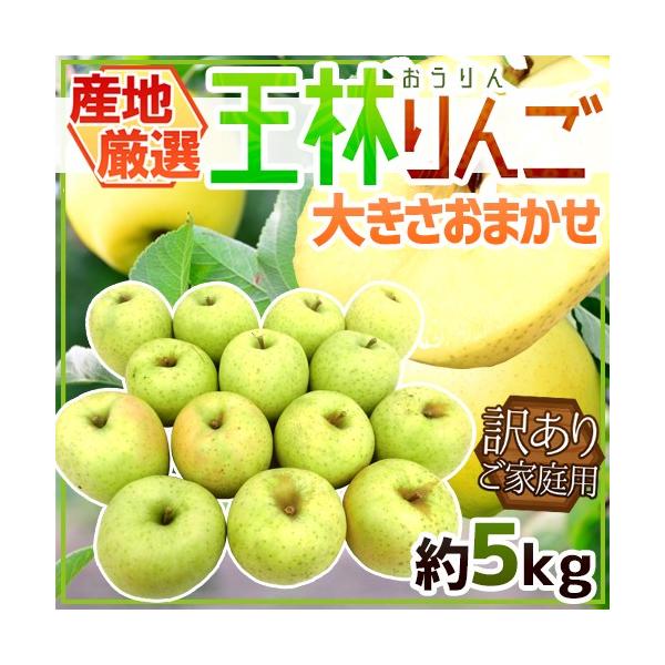  hт񂲁h 󂠂 5kg 傫܂ YnIy\ 10{ȍ~z 