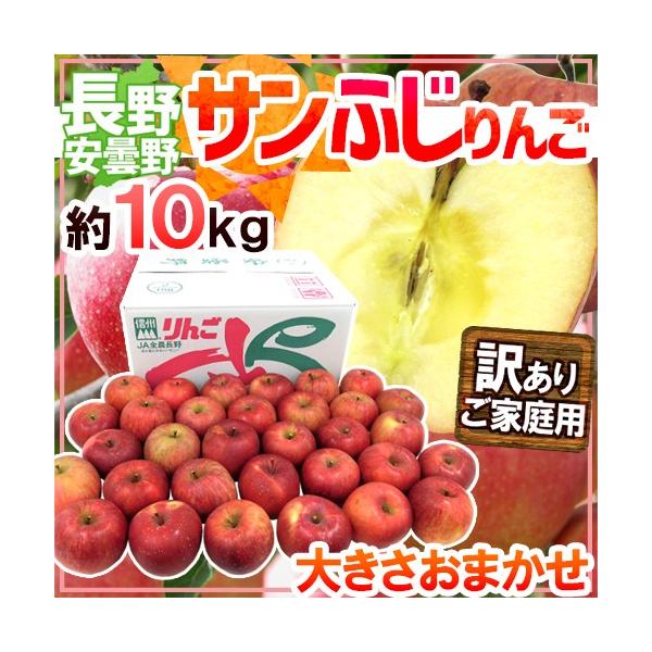  쌧 ܖY hTӂ񂲁h 󂠂 10kg 傫܂ Yny\ 11{ȍ~z 