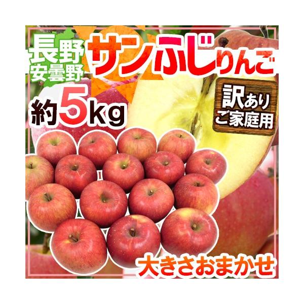  h쌧 ܖY Tӂ񂲁h 󂠂 5kg 傫܂y\ 11{ȍ~z 