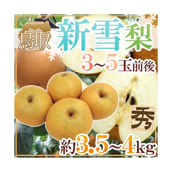 h挧 Vᗜh Gi 3`5ʑO 3.5`4kgy\ 12{ȍ~z 