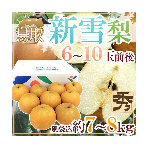 挧 hVᗜh Gi 6`10ʑO ܍7`8kgy\ 12{ȍ~z 