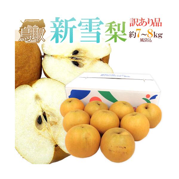 挧 hVᗜh 󂠂 ܍7`8kg 傫܂y\ 12{ȍ~z 