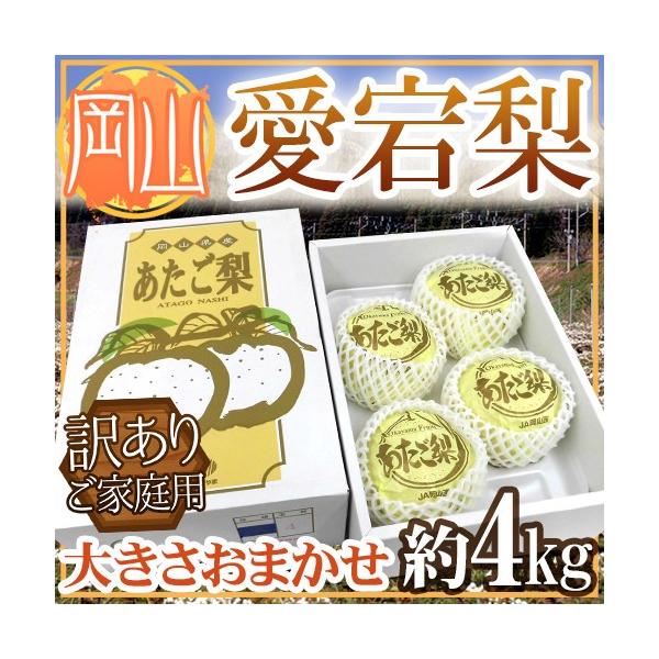 RY hh 󂠂 傫܂ 4kg Ynϔ y\ 11ȍ~z 