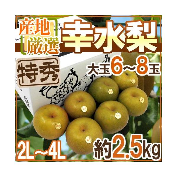 hKh Gi 2L`4L 6`8 2.5kg YnI x12xȏy\ 8ȍ~z 