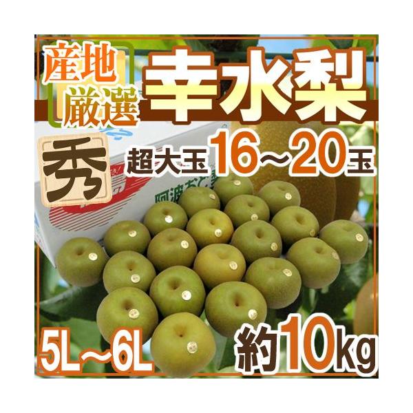 幸水 10kg」の人気商品一覧 | 安い商品を通販サイトから探す