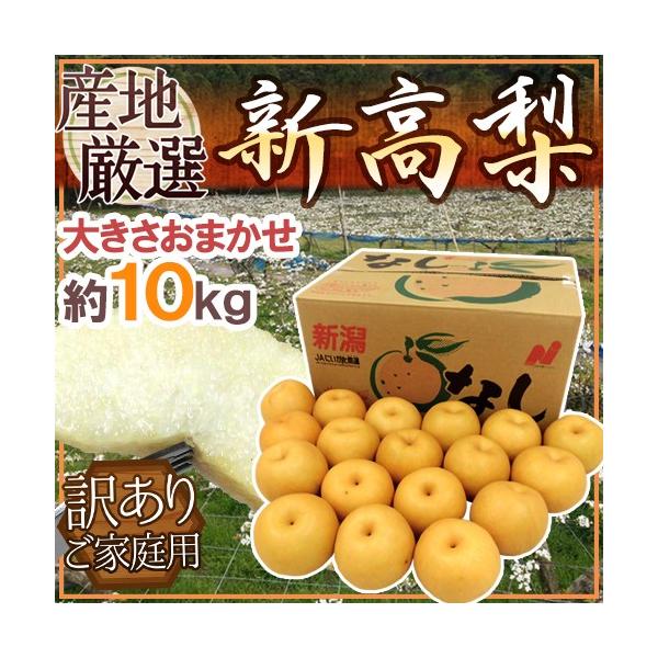 hVh 󂠂 10kg 傫܂ YnIy\ 10ȍ~z 